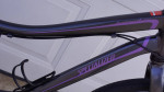 MINT Girls Specialized HotRock Aluminum 24" Wheels