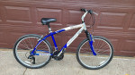 Schwinn Cimarron 21 Speed Mountain Bike 17 Inch Bicycle