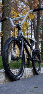 20” HARO BMX Bike Bicycle Mint Like New Condition