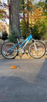 24” Schwinn High Plains 21 Speed Mountain Bike Bicycle Excellent MINT
