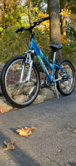 24” Schwinn High Plains 21 Speed Mountain Bike Bicycle Excellent MINT