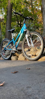 24” Schwinn High Plains 21 Speed Mountain Bike Bicycle Excellent MINT