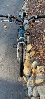 24” Schwinn High Plains 21 Speed Mountain Bike Bicycle Excellent MINT