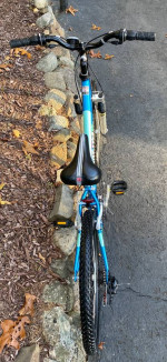 24” Schwinn High Plains 21 Speed Mountain Bike Bicycle Excellent MINT