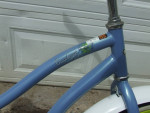 Beach Cruiser