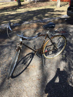 Schwinn Suburban 5 speed Vintage