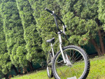 vintage bmx crome bicycle