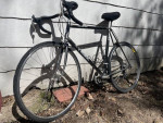 Trek Carbon 2300 16 speed