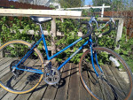 Ladies National Sport road