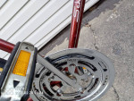 Schwinn   Continental