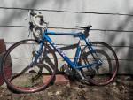 Trek 1200