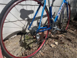 Trek 1200