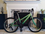 24" Performance Blue Jay 21-speed Mountain Bike / Bicycle