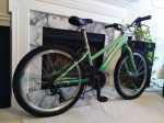 24" Performance Blue Jay 21-speed Mountain Bike / Bicycle