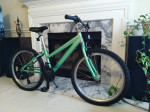 24" Performance Blue Jay 21-speed Mountain Bike / Bicycle
