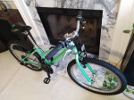 24" Performance Blue Jay 21-speed Mountain Bike / Bicycle