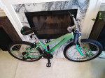 24" Performance Blue Jay 21-speed Mountain Bike / Bicycle