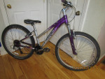 TREK Skye;4'10" to 5'2"; 16 speed
