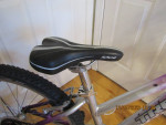 TREK Skye;4'10" to 5'2"; 16 speed