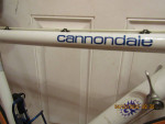 CANNONDALE;5'8" to 5'11"; Criterium Series 3; white;lightweight;22 lb