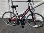 Raleigh Hybrid Comfort Bike