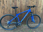 GT Backwoods 29 er MTB