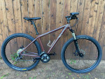 Felt nine 29 er MTB