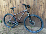 Felt nine 29 er MTB