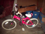 New! OZONE 500-16"Girls Bike-Cost $119