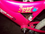 New! OZONE 500-16"Girls Bike-Cost $119