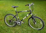GT Timberline