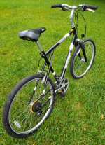 GT Timberline