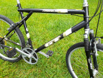 GT Timberline