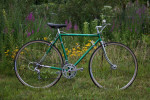 1970s Fuji Bike Awesome Vintage >BRO<