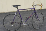 Trek 760 Vintage Race Bike >>BRO<<