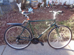 Green DiamondBack Parkway Hybrid