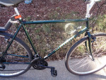 Green DiamondBack Parkway Hybrid