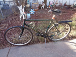 Green DiamondBack Parkway Hybrid