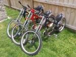 Schwinn Stingrays