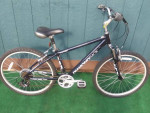 16" Diamondback Wildwood