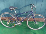 17" Diamondback Lakeside