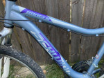 Schwinn Ranger 21 speed mountain bike 17" frame