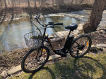 e bike