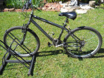 nishiki tamarack