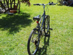 nishiki tamarack