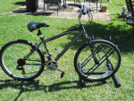 nishiki tamarack