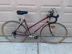 Schwinn Traveler Road Commuter Bike Fully Tuned Up Excellent Cond 51cm