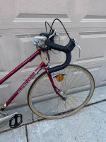Schwinn Traveler Road Commuter Bike Fully Tuned Up Excellent Cond 51cm