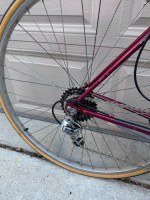 Schwinn Traveler Road Commuter Bike Fully Tuned Up Excellent Cond 51cm