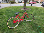 Catalina beach cruiser